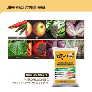 누보농장님의 자유주제 · 자유게시판 작성글 사진