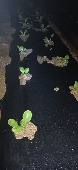 이강재님의 자유주제 · 자유게시판 작성글 사진