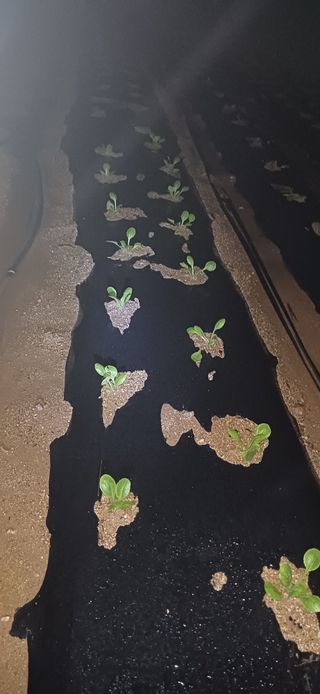 이강재님의 자유주제 · 자유게시판 작성글 사진