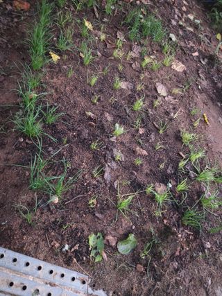 매미농장님의 자유주제 · 자유게시판 작성글 사진