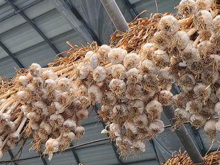 복숭아님의 자유주제 · 자유게시판 작성글 사진