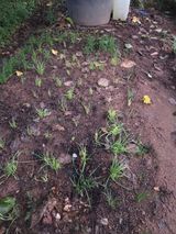 팜모닝 자유주제·자유게시판 게시글 이미지