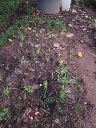 매미농장님의 자유주제 · 자유게시판 작성글 사진