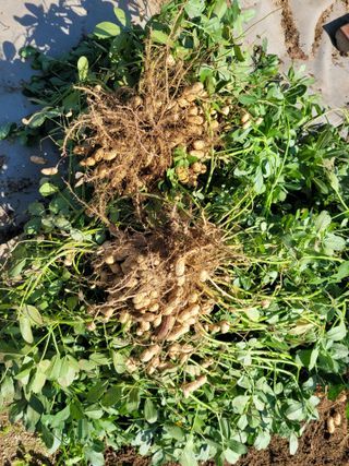 땅땅님의 자유주제 · 자유게시판 작성글 사진