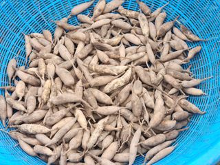 이창신님의 자유주제 · 자유게시판 작성글 사진