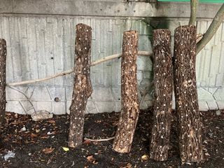 낙엽교목류17871님의 농사, 무엇이든 물어보세요! · 참여글 작성글 사진