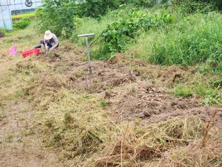 이창신님의 자유주제 · 자유게시판 작성글 사진