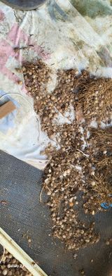 팜모닝 자유주제·자유게시판 게시글 이미지