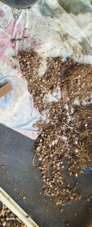 양일봉님의 자유주제 · 자유게시판 작성글 사진