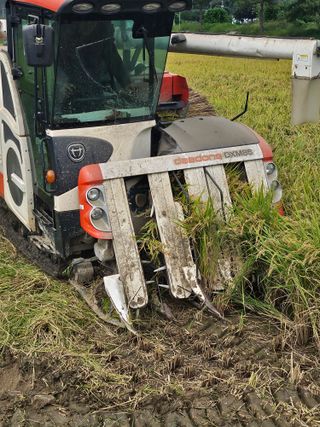 윤재하님의 자유주제 · 자유게시판 작성글 사진