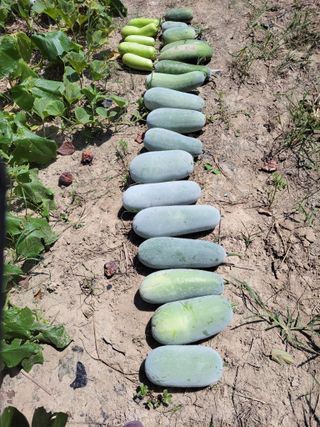 원빈님의 자유주제 · 자유게시판 작성글 사진