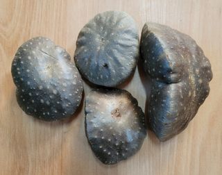 이용찬 열매마농원님의 작성글 사진