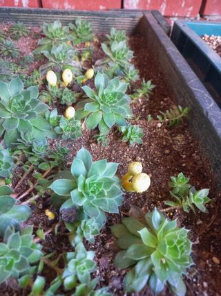 박린님의 자유주제 · 자유게시판 작성글 사진