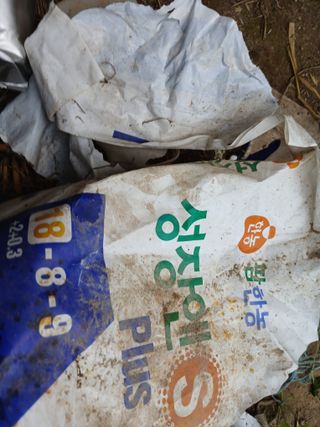 상추14154님의 자유주제 · 자유게시판 작성글 사진