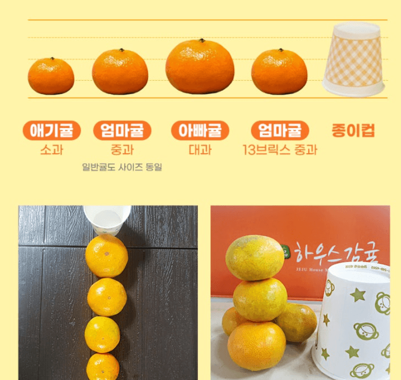 스피드번님의 장터 판매 상품 [제주직송 노지감귤] 첨부 사진