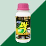 팜모닝 · 게시글 이미지