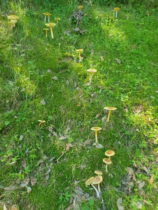 아침농원님의 자유주제 · 자유게시판 작성글 사진