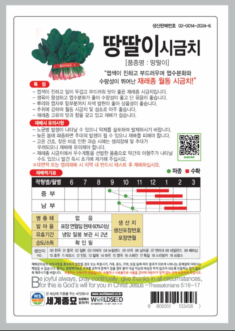 주주씨앗님의 장터 판매 상품 [[무료배송] 월동 섬초 땅딸이시금치 400g 대포장 겨울시금치 종자 시금치씨] 첨부 사진