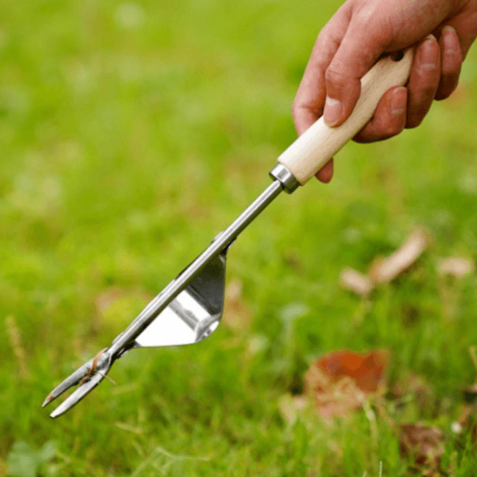 김복자님의 장터 판매 상품 [잡초 제거 호미 도구 원예 해루질 텃밭 농사] 첨부 사진