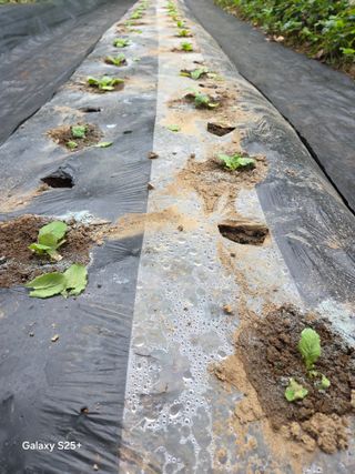 박기식 님의 자유주제 · 자유게시판 작성글 사진