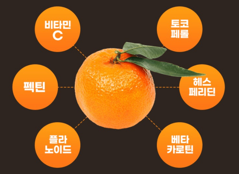 스피드번님의 장터 판매 상품 [제주직송 노지감귤] 첨부 사진