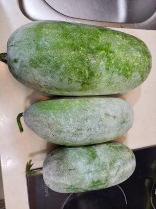 원빈님의 자유주제 · 자유게시판 작성글 사진