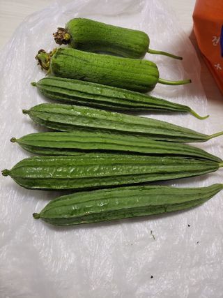 원빈님의 자유주제 · 자유게시판 작성글 사진