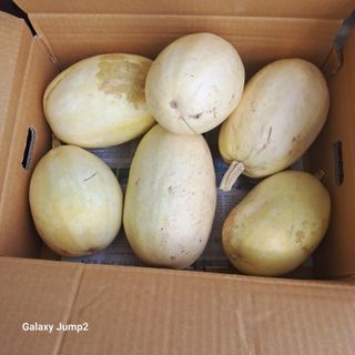 규수김님의 작성글 사진