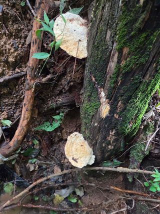 아쌰야로~님의 자유주제 · 자유게시판 작성글 사진