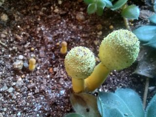 박린님의 자유주제 · 자유게시판 작성글 사진