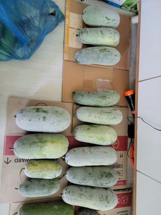 원빈님의 자유주제 · 자유게시판 작성글 사진