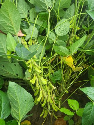 최상희님의 자유주제 · 자유게시판 작성글 사진