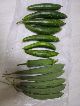 원빈님의 자유주제 · 자유게시판 작성글 사진