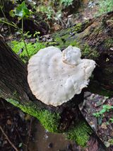 팜모닝 자유주제·자유게시판 게시글 이미지