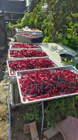 팜모닝 자유주제·자유게시판 게시글 이미지