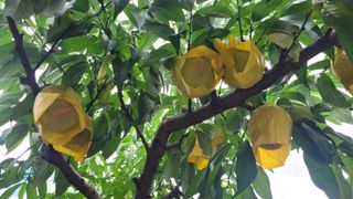 지피지기님의 자유주제 · 자유게시판 작성글 사진