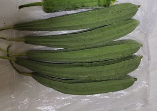 원빈님의 자유주제 · 자유게시판 작성글 사진