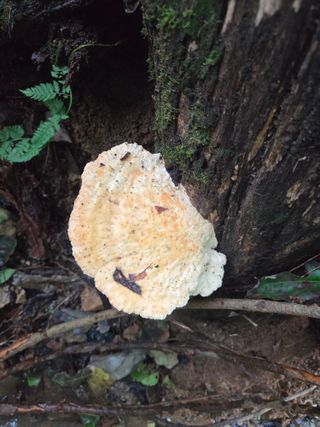 아쌰야로~님의 자유주제 · 자유게시판 작성글 사진