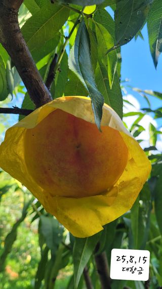 지피지기님의 자유주제 · 자유게시판 작성글 사진