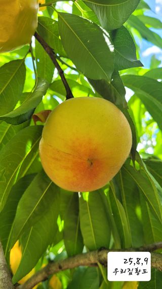 지피지기님의 자유주제 · 자유게시판 작성글 사진