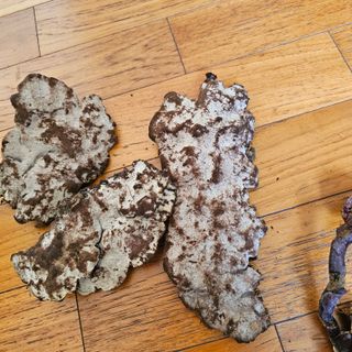 김정우님의 농사, 무엇이든 물어보세요! · 참여글 작성글 사진