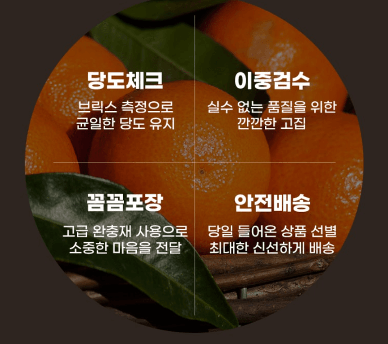 스피드번님의 장터 판매 상품 [제주직송 노지감귤] 첨부 사진