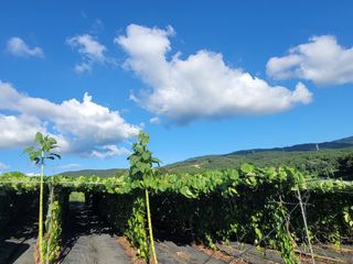 이용찬 열매마농원님의 작성글 사진