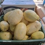 팜모닝 · 게시글 이미지