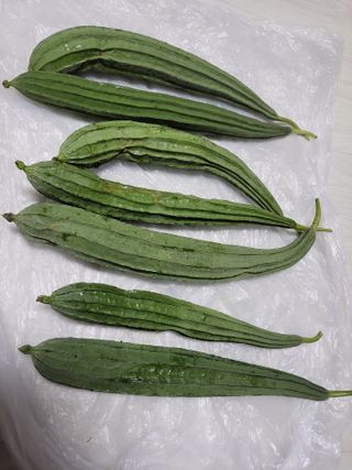 원빈님의 자유주제 · 자유게시판 작성글 사진