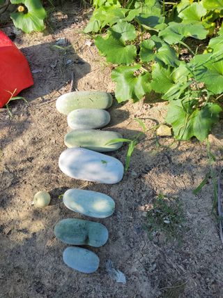 원빈님의 자유주제 · 자유게시판 작성글 사진