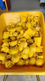 팜모닝 자유주제·자유게시판 게시글 이미지