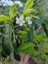 팜모닝 자유주제·자유게시판 게시글 이미지