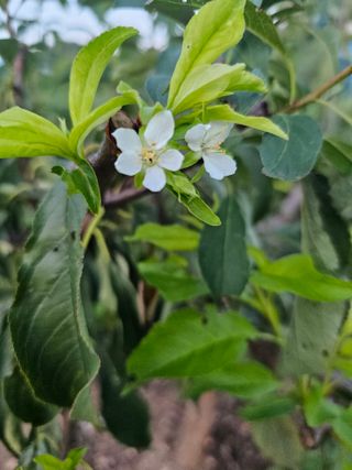 강성웅님의 자유주제 · 자유게시판 작성글 사진