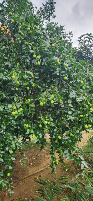 최군환님의 자유주제 · 자유게시판 작성글 사진